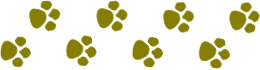 Paw Prints divider